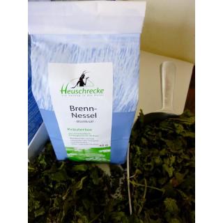 Brennnessel, Blatt-Krüll
