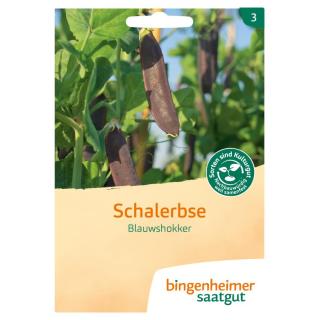 Schalerbse Blauwshokker  *V*